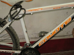 Kalpona's bike